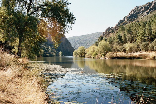 foto del rio en zona de cabañeros